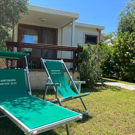 Agriturismo Antichi Ulivi Mattinata Dış mekan fotoğraf