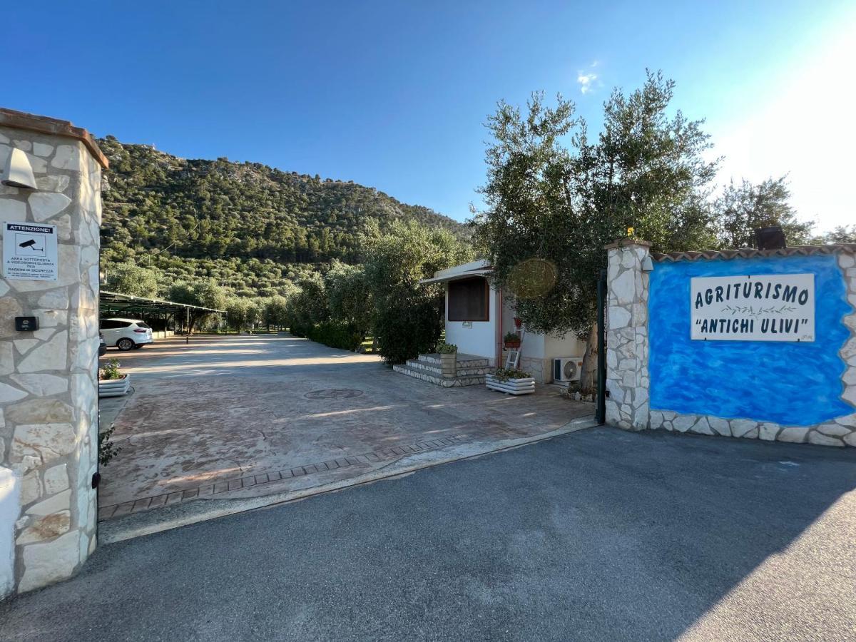 Agriturismo Antichi Ulivi Mattinata Dış mekan fotoğraf
