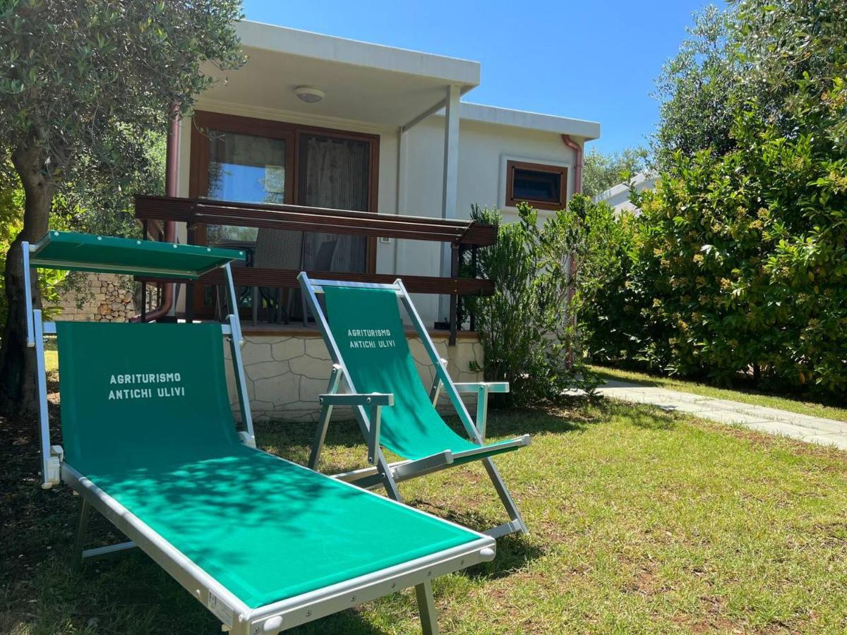 Agriturismo Antichi Ulivi Mattinata Dış mekan fotoğraf