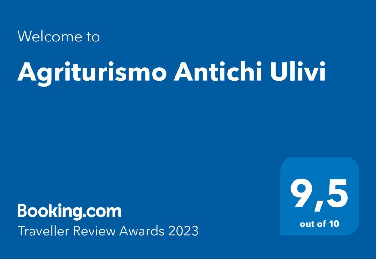 Agriturismo Antichi Ulivi Mattinata Dış mekan fotoğraf