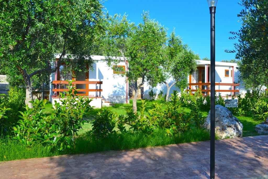 Agriturismo Antichi Ulivi Mattinata Dış mekan fotoğraf