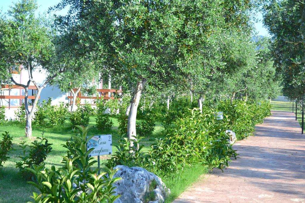 Agriturismo Antichi Ulivi Mattinata Dış mekan fotoğraf