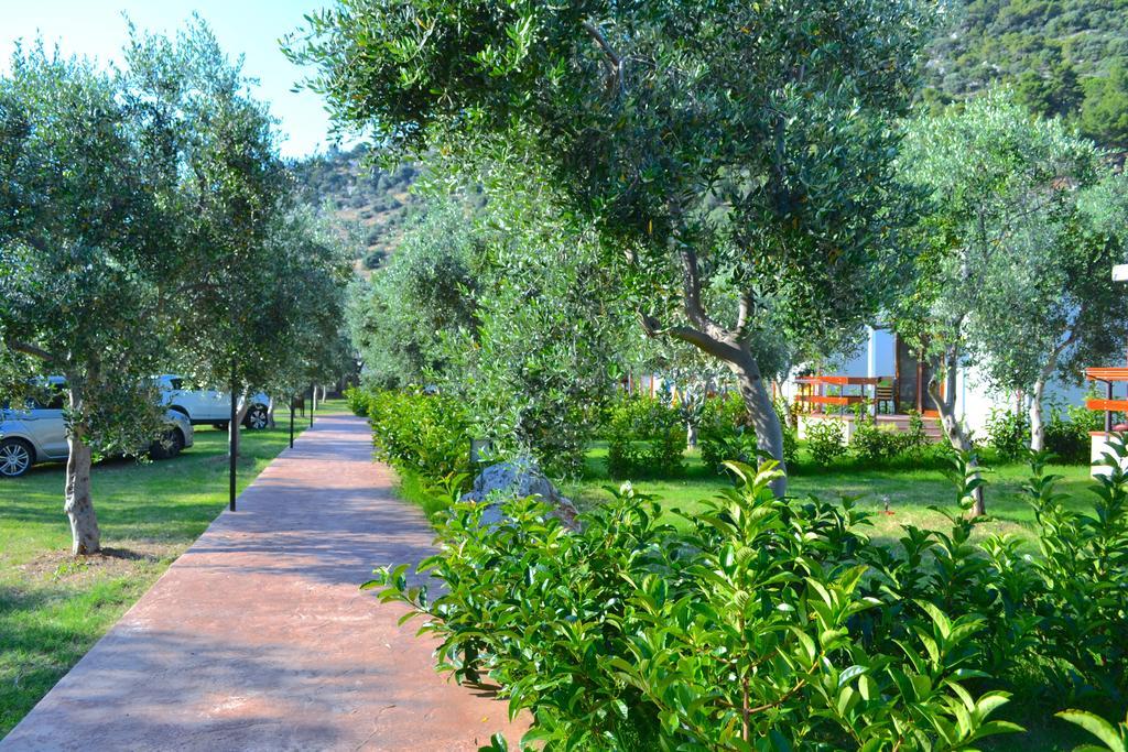 Agriturismo Antichi Ulivi Mattinata Dış mekan fotoğraf