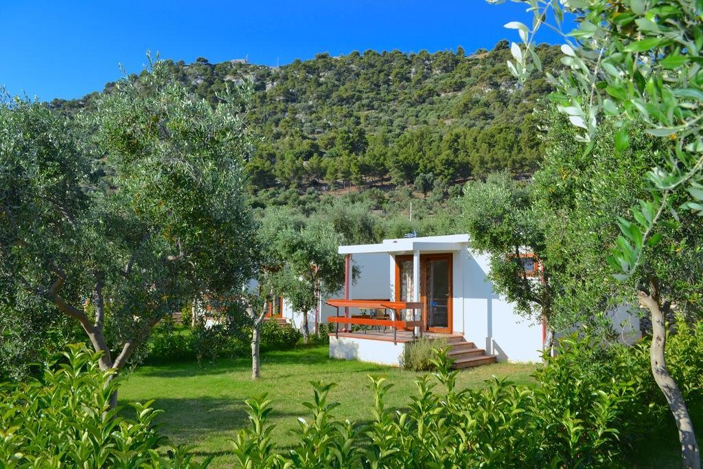 Agriturismo Antichi Ulivi Mattinata Dış mekan fotoğraf
