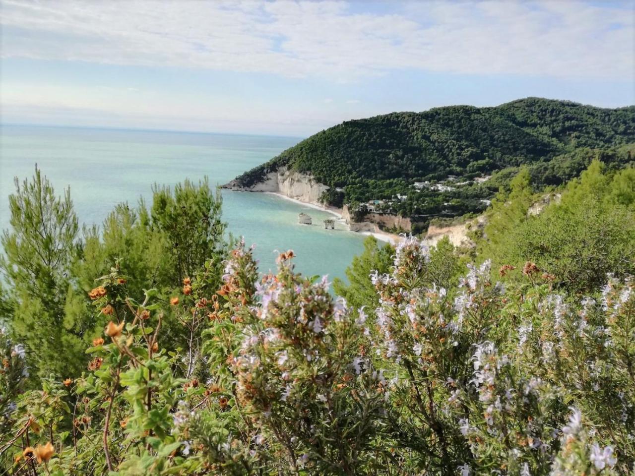 Agriturismo Antichi Ulivi Mattinata Dış mekan fotoğraf