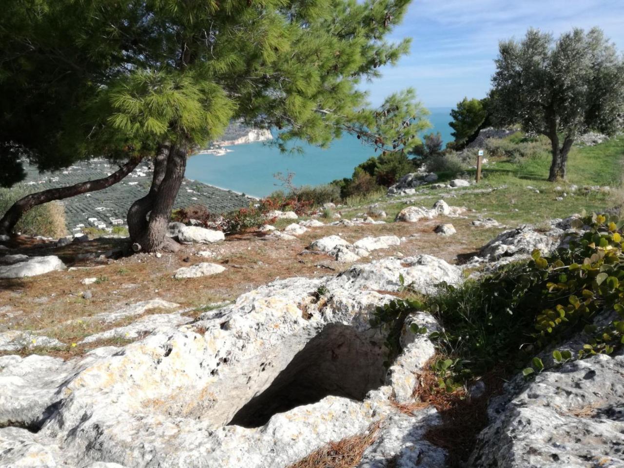 Agriturismo Antichi Ulivi Mattinata Dış mekan fotoğraf