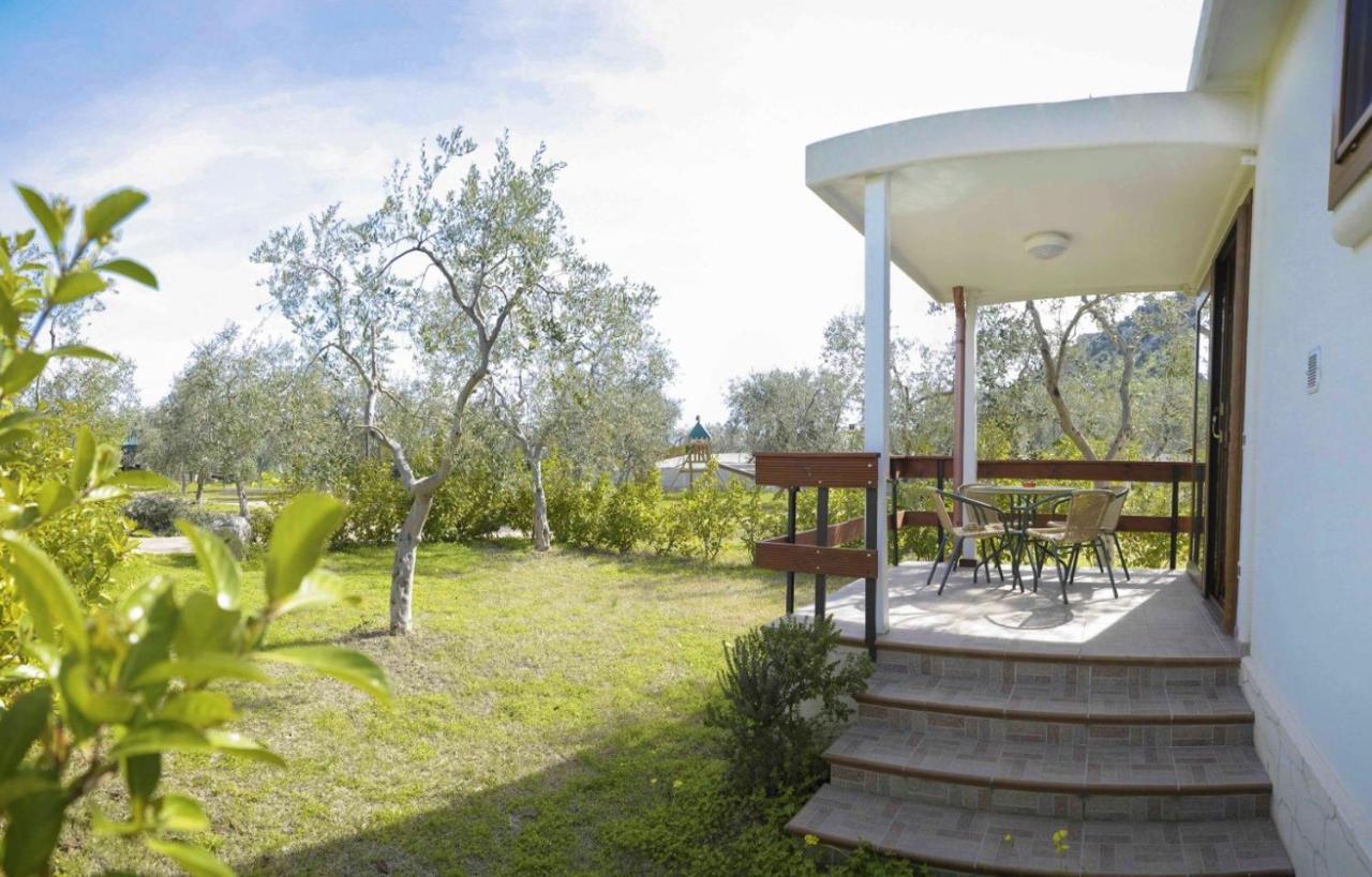 Agriturismo Antichi Ulivi Mattinata Dış mekan fotoğraf