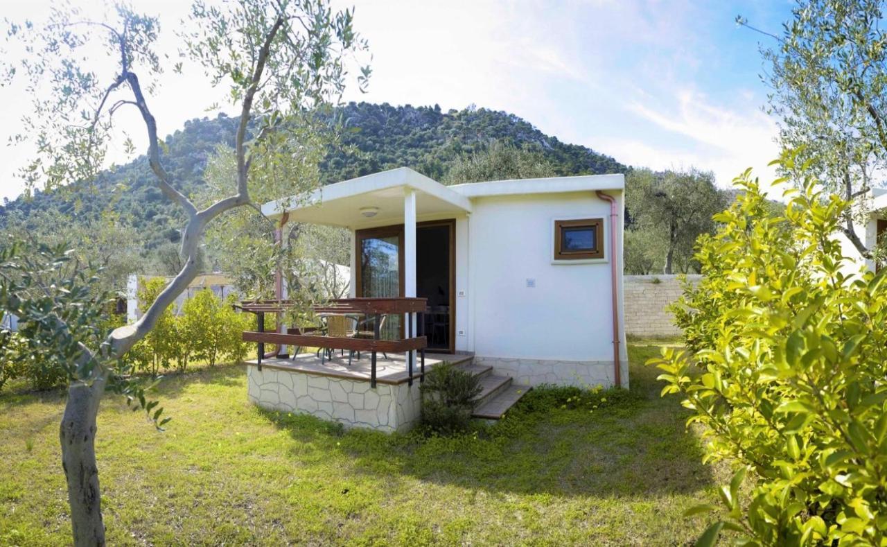 Agriturismo Antichi Ulivi Mattinata Dış mekan fotoğraf